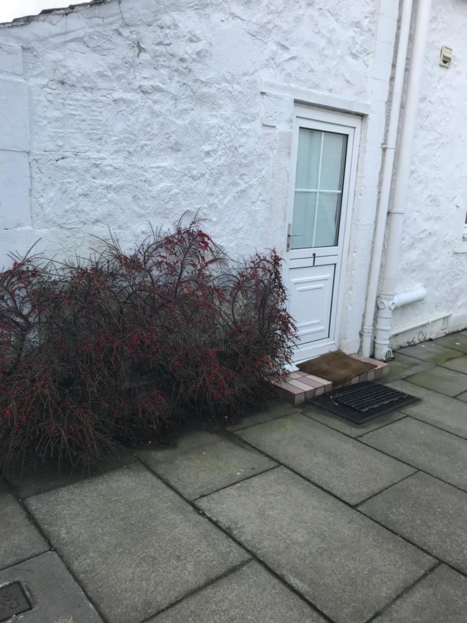 Ardgowan Guest House Paisley Dış mekan fotoğraf